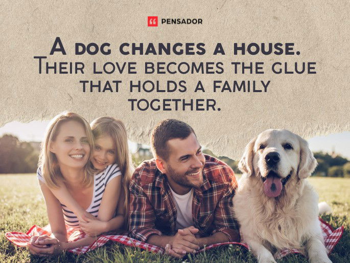 A dog changes a house. Their love becomes the glue that holds a family together.