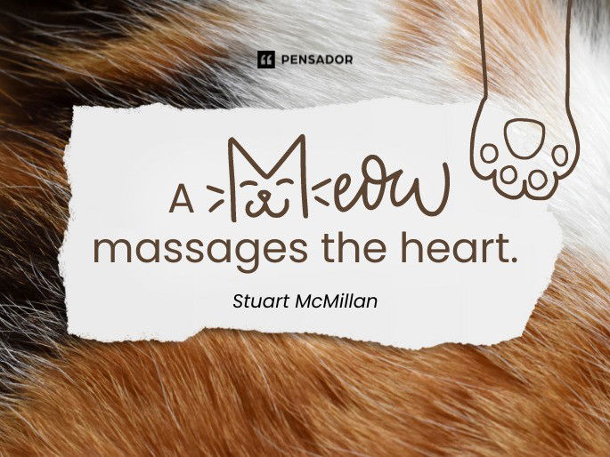 A meow massages the heart.  Stuart McMillan