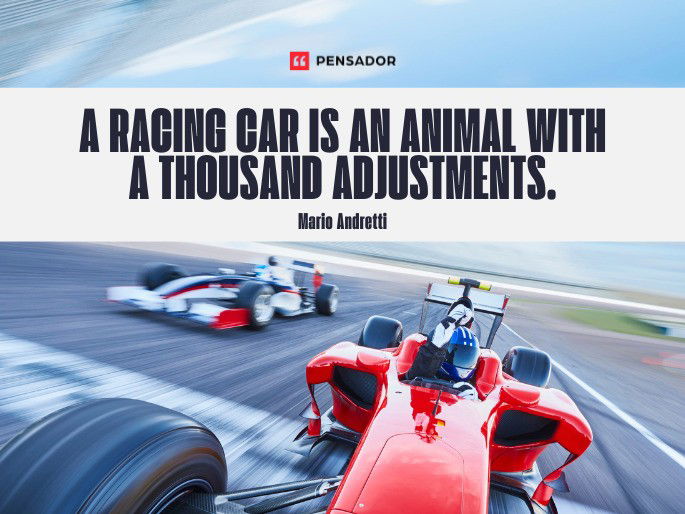 A racing car is an animal with a thousand adjustments.  Mario Andretti