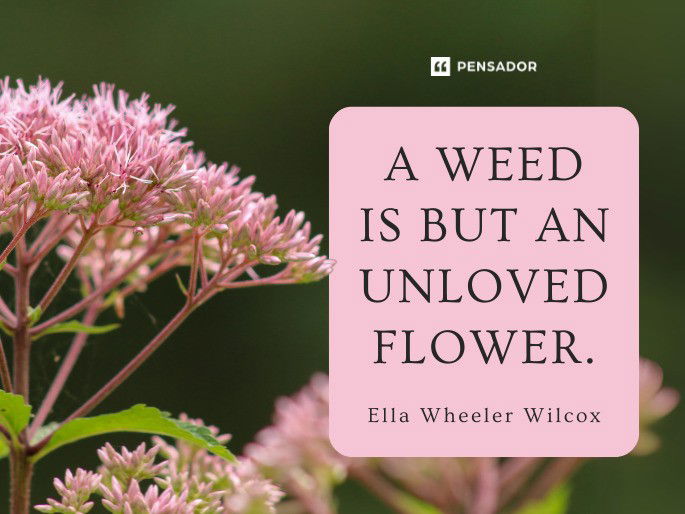 A weed is but an unloved flower.  Ella Wheeler Wilcox