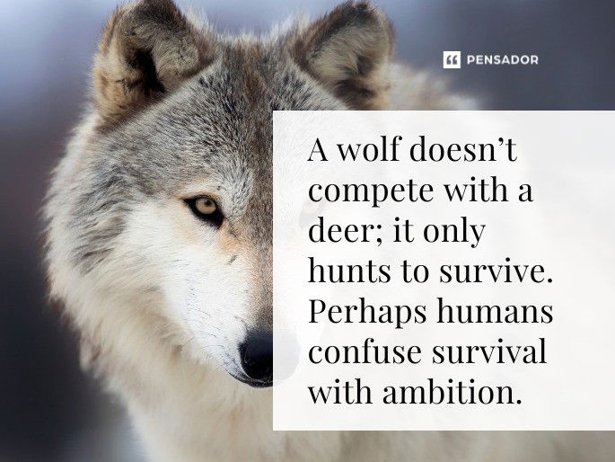 A wolf doesn’t compete with a deer; it only hunts to survive. Perhaps humans confuse survival with ambition.