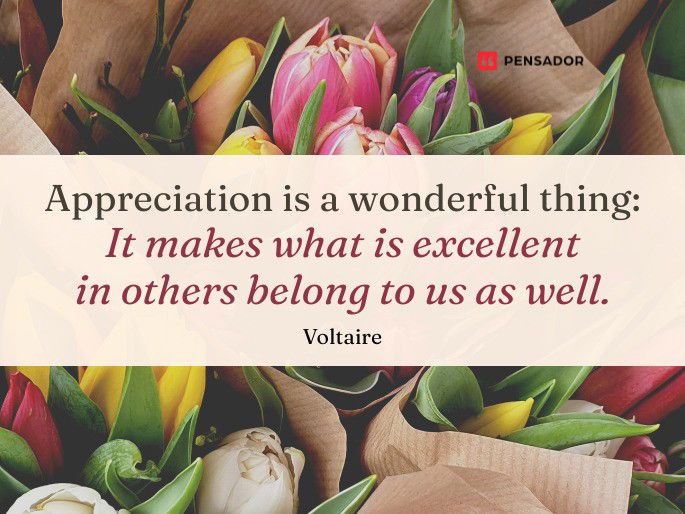 Appreciation is a wonderful thing: It makes what is excellent in others belong to us as well. Voltaire