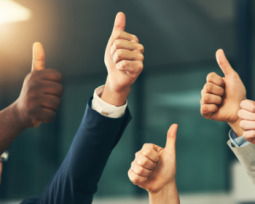 65 Appreciation Quotes That Capture the Power of Gratitude