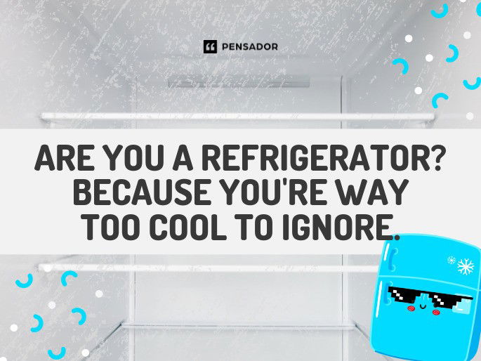 Are you a refrigerator? Because you‘re way too cool to ignore.