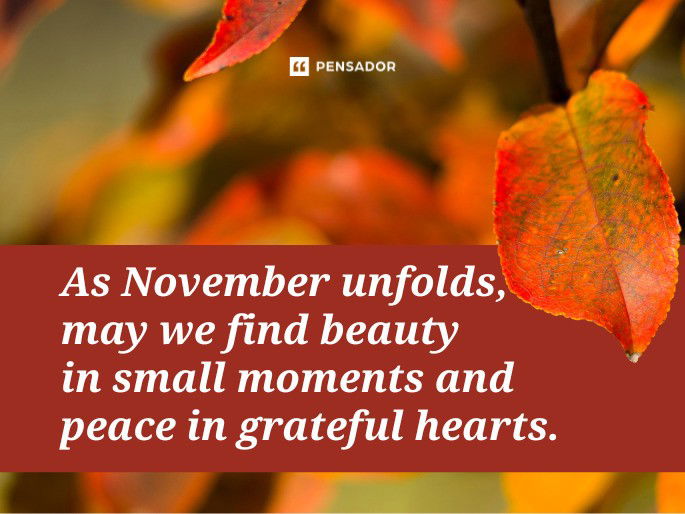 As November unfolds, may we find beauty in small moments and peace in grateful hearts.
