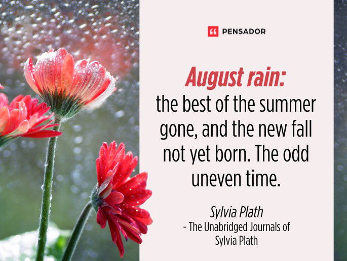 August rain: the best of the summer gone, and the new fall not yet born. The odd uneven time.  Sylvia Plath - The Unabridged Journals of Sylvia Plath