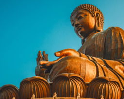 50 Buddha Quotes To Enlighten Your Soul