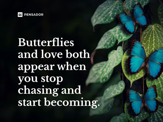 Butterflies and love both appear when you stop chasing and start becoming.