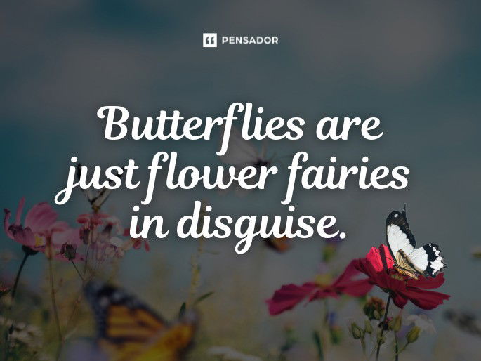 Butterflies are just flower fairies in disguise.