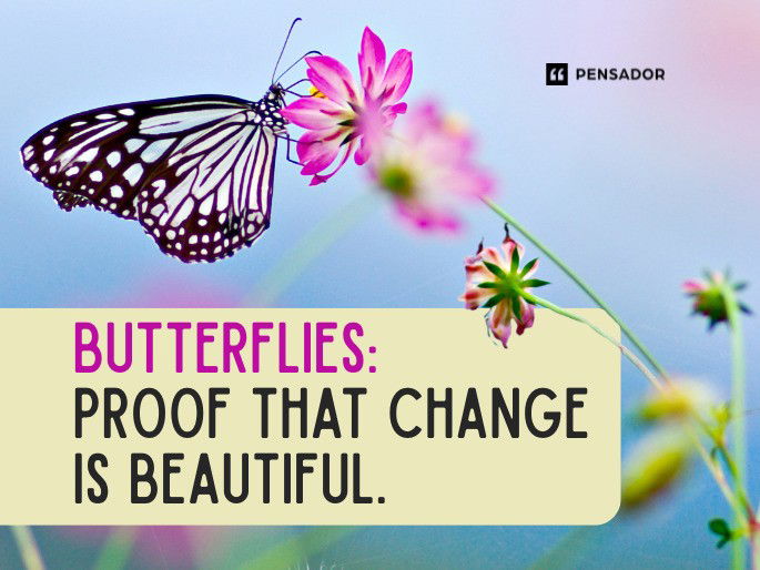Butterflies: proof that change is beautiful.