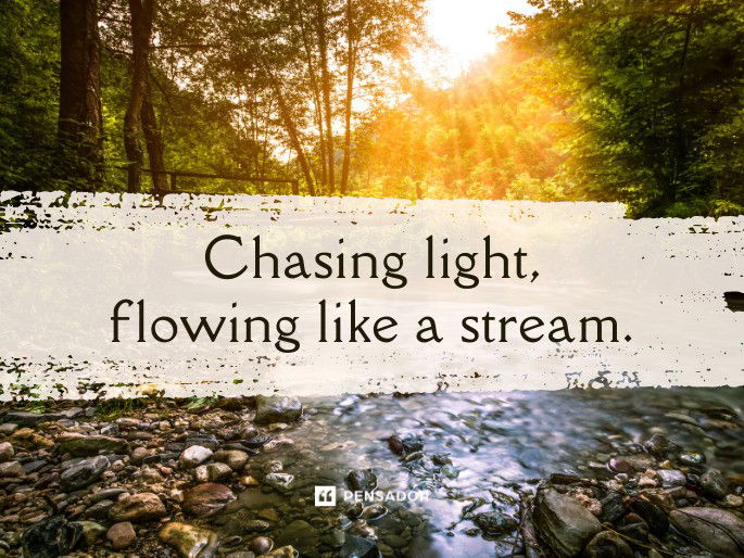 Chasing light, flowing like a stream.