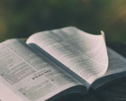 40+ Comforting Bible Verses for the Death of a Loved One To Grieve Gracefully