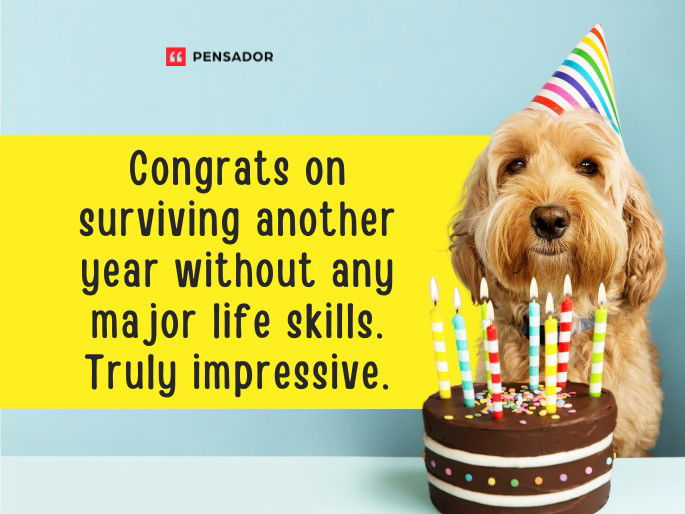 Congrats on surviving another year without any major life skills. Truly impressive.