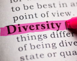 55 Diversity Quotes To Build A More Inclusive World