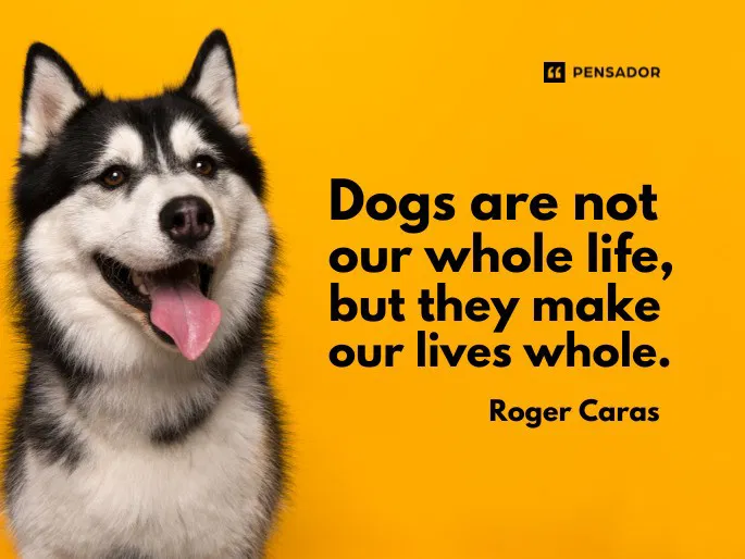 Dogs are not our whole life, but they make our lives whole.  Roger Caras