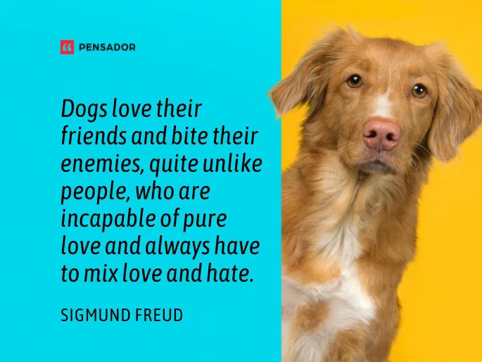 Dogs love their friends and bite their enemies, quite unlike people, who are incapable of pure love and always have to mix love and hate.  Sigmund Freud