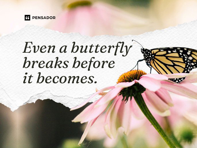 Even a butterfly breaks before it becomes.