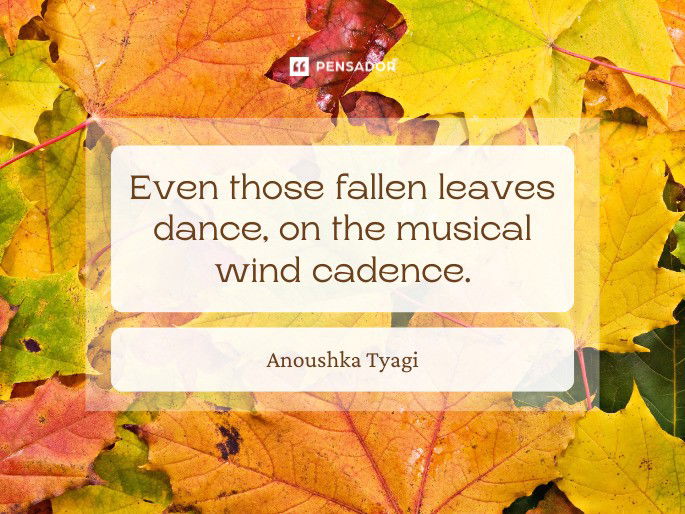 Even those fallen leaves dance, on the musical wind cadence.  Anoushka Tyagi