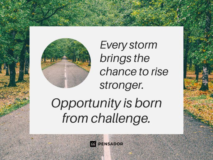 Every storm brings the chance to rise stronger. Opportunity is born from challenge