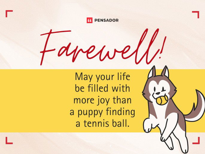 Farewell! May your life be filled with more joy than a puppy finding a tennis ball.