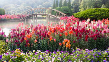 55+ Garden Quotes To Inspire Your Planting Passion