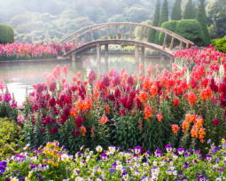55+ Garden Quotes To Inspire Your Planting Passion