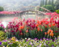 55+ Garden Quotes To Inspire Your Planting Passion