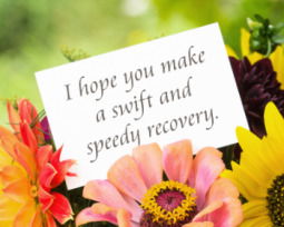75+ Get Well Soon Messages Full of Heart and Hope