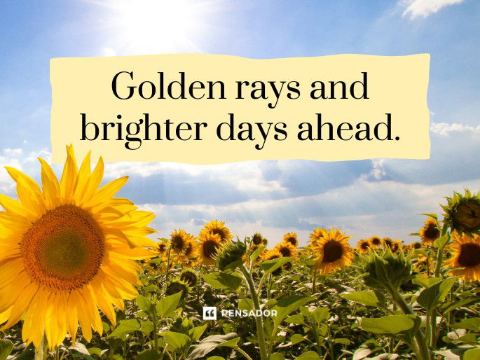 Golden rays and brighter days ahead.