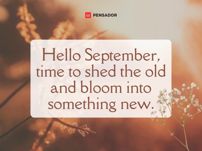 Hello September, time to shed the old and bloom into something new.