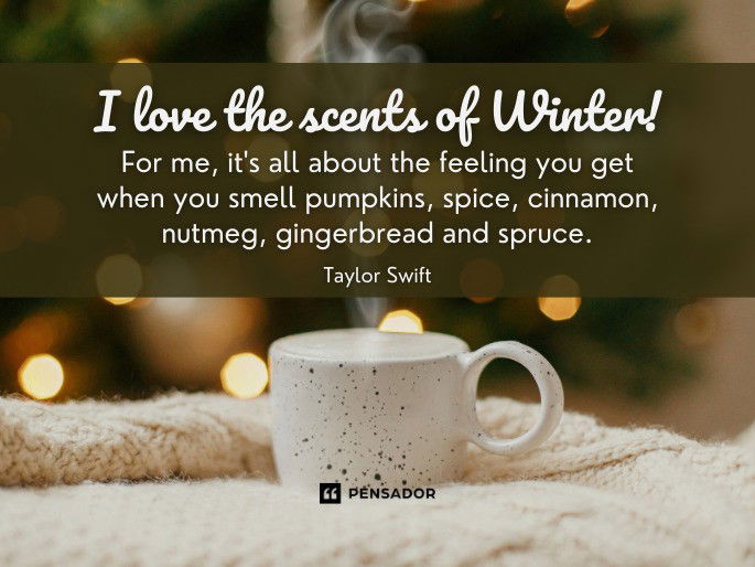 I love the scents of Winter! For me, it‘s all about the feeling you get when you smell pumpkins, spice, cinnamon, nutmeg, gingerbread and spruce.