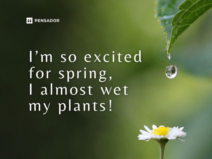 I’m so excited for spring, I almost wet my plants!