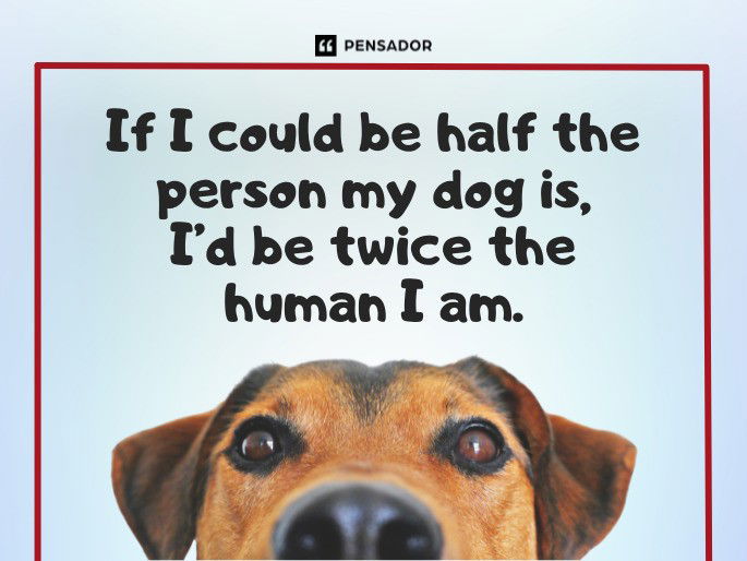 If I could be half the person my dog is, I’d be twice the human I am.  Charles Yu