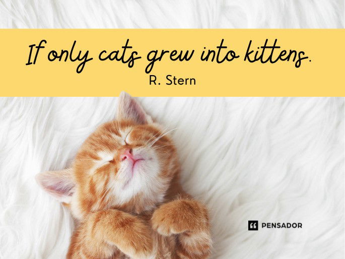 If only cats grew into kittens.  R. Stern