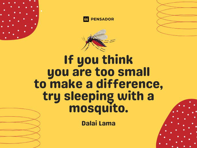 If you think you are too small to make a difference, try sleeping with a mosquito.  Dalai Lama