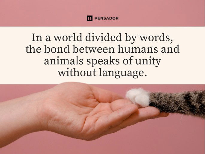 In a world divided by words, the bond between humans and animals speaks of unity without language.