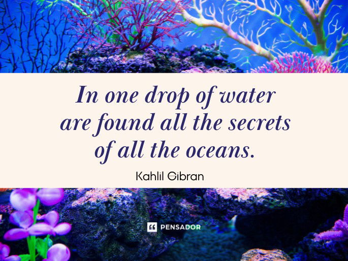 In one drop of water are found all the secrets of all the oceans.  Kahlil Gibran