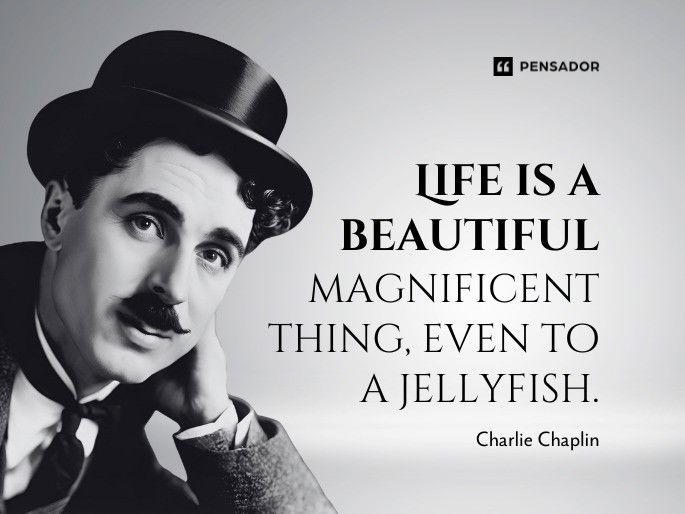 Life is a beautiful magnificent thing, even to a jellyfish.  Charlie Chaplin