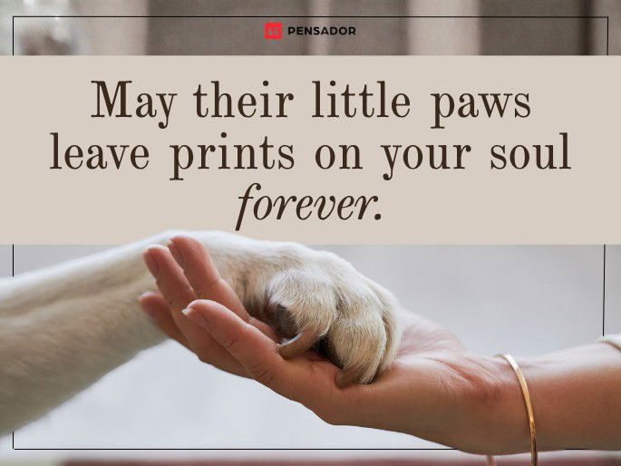 May their little paws leave prints on your soul forever.