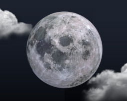 65+ Moon Quotes To Reflect On the Night Sky