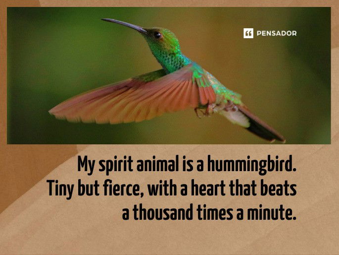 My spirit animal is a hummingbird. Tiny but fierce, with a heart that beats a thousand times a minute.