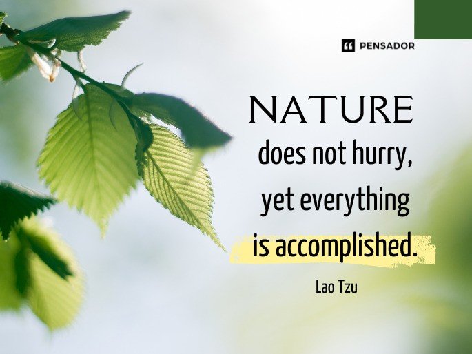 Nature does not hurry, yet everything is accomplished.-Lao Tzu