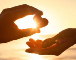 75 Nice Quotes for Peace, Comfort, and Quiet Strength