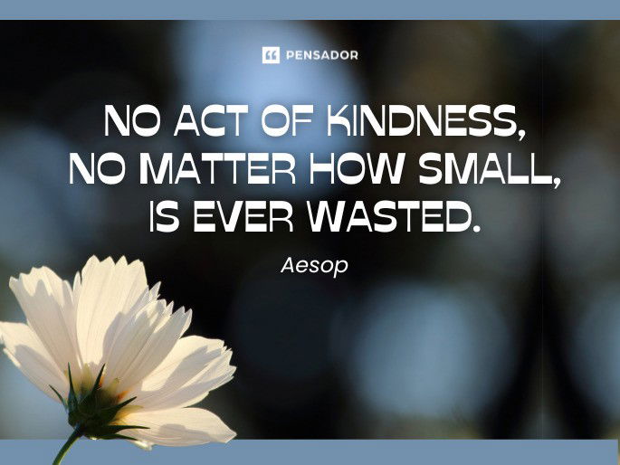 No act of kindness, no matter how small, is ever wasted. Aesop