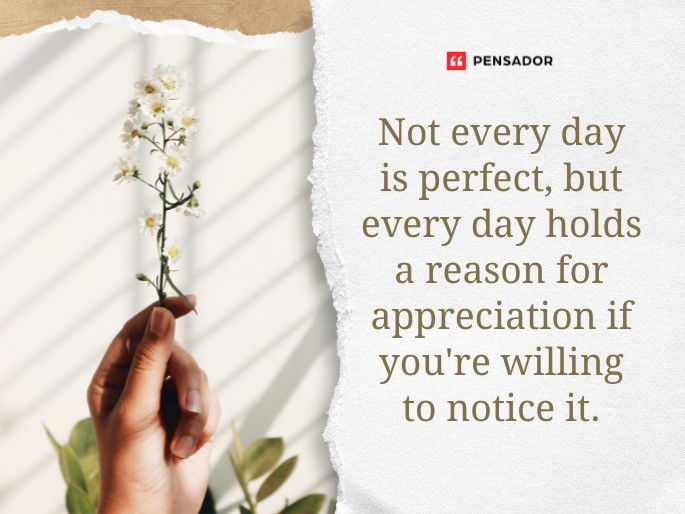 Not every day is perfect, but every day holds a reason for appreciation if you‘re willing to notice it.