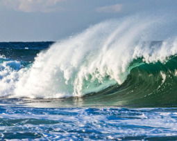 41 Ocean and Sea Quotes for Peace, Life, and Inspiration