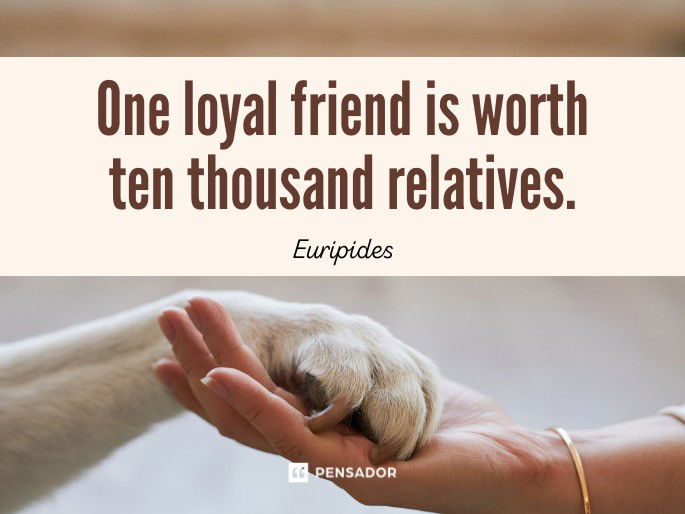 One loyal friend is worth ten thousand relatives.  Euripides
