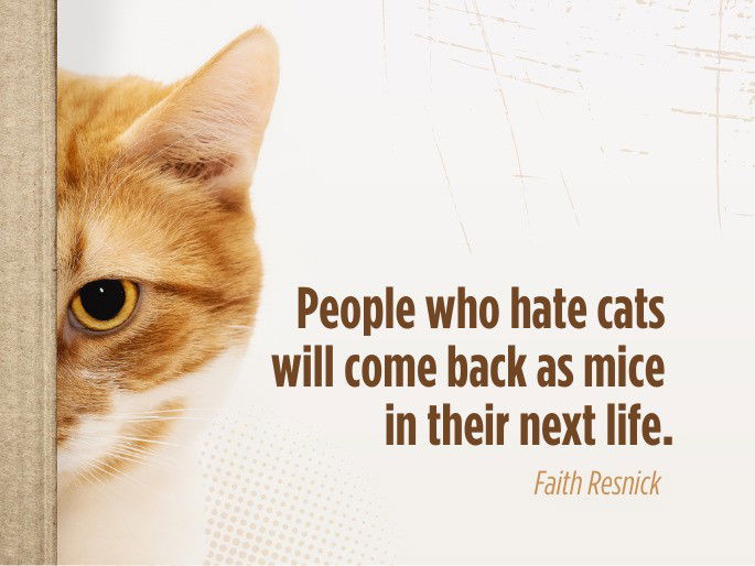 People who hate cats will come back as mice in their next life.  Faith Resnick