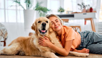 55+ Pet Quotes To Celebrate Your Furry Friends