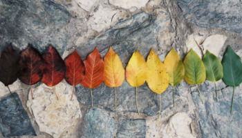 45+ Quotes About Change That Depicts Life's Transitions
